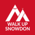 Walk up Snowdon